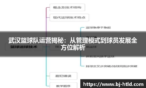 武汉篮球队运营揭秘：从管理模式到球员发展全方位解析